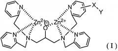 Способ мечения фосфорилированных пептидов, способ селективной адсорбции фосфорилированных пептидов, комплексные соединения, используемые в таких способах, способ получения комплексных соединений и исходные соединения для получения комплексных соединений (патент 2315771)