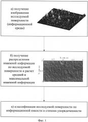 Способ исследования информационной емкости поверхности наноструктурированных материалов (патент 2606089)