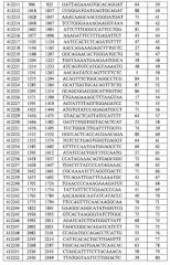 Модуляция экспрессии фактора 11 (патент 2535964)