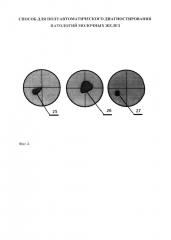 Способ для полуавтоматического диагностирования патологий молочных желёз (патент 2622362)