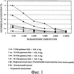 Композиция адъюванта, содержащая поли-гамма-глутаминовую кислоту (патент 2390352)
