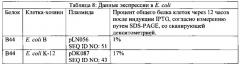 Композиции neisseria meningitidis и способы их применения (патент 2665841)