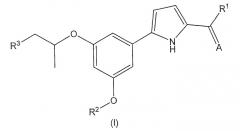 Новое производное фенилпиррола (патент 2470917)