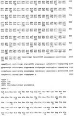 Новые кодирующие нуклеотидные последовательности гена zwal (патент 2260048)