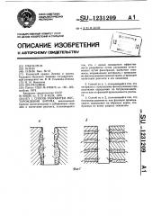 Способ разработки месторождения битума (патент 1231209)