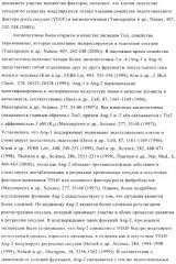 Стабилизированные антитела против ангиопоэтина-2 и их применение (патент 2509085)