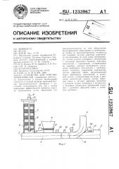 Устройство для очистки трубопроводов (патент 1233967)