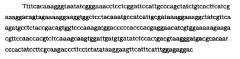 Продуцирование высокоманнозных белков в растительных культурах (патент 2385928)