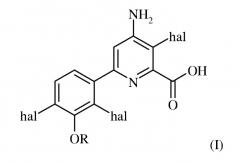 Защита от повреждения гербицидом 6-(трехзамещенный фенил)-4-амино-2-пиридинкарбоксилата посеянного семенами и рассадного риса-сырца (патент 2516780)