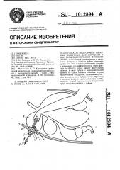 Способ подготовки жвачных животных для изучения у них пищеварительной функции сетки (патент 1012894)