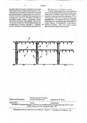 Способ формирования виноградного куста (патент 1743473)