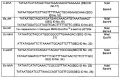 Способ получения 2,4-дигидроксибутирата (патент 2645260)