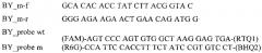 Способ генодиагностики мутантного аллеля, вызывающего короткий позвоночник или брахиспину у крупного рогатого скота, и тест-система для его осуществления (патент 2664454)