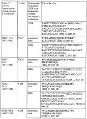 V-d-j олигонуклеотид т-клеточного рецептора, пара праймеров, олигонуклеотидный зонд, способ обнаружения клона mbp83-99v13.1 т-клеток, экспрессирующих мотив lgraglty т-клеточного рецептора, набор, способ лечения аутоиммунного заболевания и способ его мониторинга (патент 2251552)