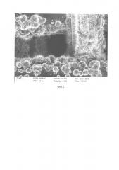Способ получения медьсодержащих нанокатализаторов с развитой поверхностью (патент 2611620)