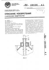 Устройство для внесения жидких и газообразных веществ (патент 1301335)