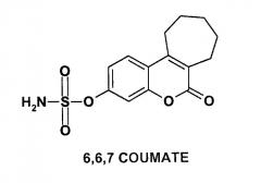 Сульфаматпроизводные бензотиофена в качестве ингибиторов стероидной сульфатазы (патент 2342375)