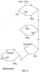 Водорастворимые полимерные комплексы антибиотиков-аминогликозидов (патент 2335510)