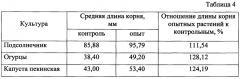 Способ предпосевной обработки семян сельскохозяйственных растений (патент 2662992)