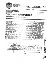 Способ намыва сооружений (патент 1583524)