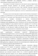 Бактерия, принадлежащая к роду pantoea, - продуцент l-аспартата или метаболита, являющегося производным l-аспартата, и способ получения l-аспартата или метаболита, являющегося производным l-аспартата (патент 2411289)