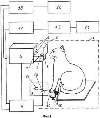Способ моделирования интенционного тремора в эксперименте на животных (felis cattus) (патент 2493610)