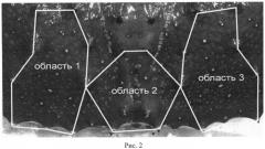 Способ индивидуальной идентификации особей камчатского краба (патент 2520035)