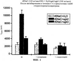 Киназы sgk 2 и sgk 3 в качестве мишеней для диагностических и терапевтических целей (патент 2310471)
