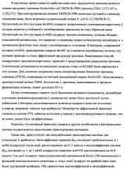 Способ получения l-треонина с использованием бактерии, принадлежащей к роду escherichia (патент 2338783)