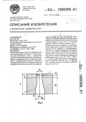 Волока (патент 1650306)