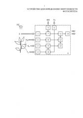 Устройство для определения энергоемкости фотосинтеза (патент 2580361)