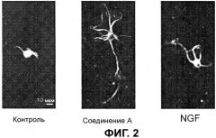 Стимулятор образования нейритов (патент 2442582)