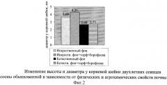 Способ повышения плодородия песчаных почв (патент 2465761)