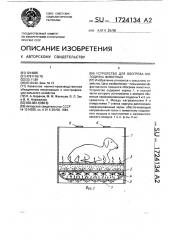 Устройство для обогрева молодняка животных (патент 1724134)