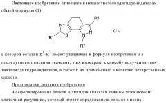 Тиазолилдигидроиндазолы (патент 2403258)