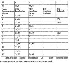 Способ выделения рнк и днк из сухих биологических образцов, хранившихся на бумажном носителе, и набор для его осуществления (патент 2628695)