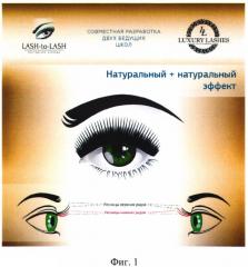 Способ наращивания ресниц 