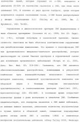 Полипептид для увеличения активности рецептора гуанилатциклазы, фармацевтическая композиция, способ лечения желудочно-кишечного расстройства у пациента, способ повышения активности рецептора гуанилатциклазы у пациента, способ лечения висцеральной боли, способ получения полипептида (варианты), изолированная молекула нуклеиновой кислоты, бактериальный вектор экспрессии и изолированная бактериальная клетка (патент 2433133) Полипептид для увеличения активности рецептора гуанилатциклазы, фармацевтическая композиция, способ лечения желудочно-кишечного расстройства у пациента, способ повышения активности рецептора гуанилатциклазы у пациента, способ лечения висцеральной боли, способ получения полипептида (варианты), изолированная молекула нуклеиновой кислоты, бактериальный вектор экспрессии и изолированная бактериальная клетка (патент 2433133)