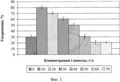 Способ размножения пеперомии in vitro (патент 2564123)