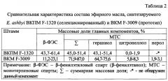 Штамм гриба eremothecium ashbyi - продуцент эфирного масла с запахом цветков розы (патент 2646134)