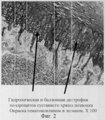 Способ моделирования остеохондроза в эксперименте (патент 2301458)