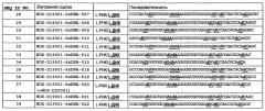 Новые связывающие c5a нуклеиновые кислоты (патент 2645261)