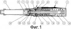 Устройство для доставки жидкого лекарственного препарата (патент 2520158)