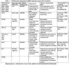 Штамм гибридных культивируемых клеток животных mus musculus l. - en-4c9 - продуцент моноклональных антител против эндоглина (cd105) человека (патент 2607029)