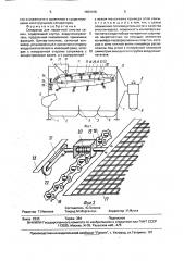 Сепаратор для первичной очистки семян (патент 1664168)
