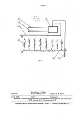Способ выращивания сельскохозяйственных культур и устройство для его осуществления (патент 1825603)