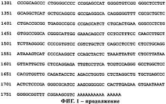 Днк, кодирующая новый пептид rg1 (патент 2283130)