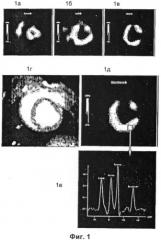 Способ визуализации сердца с использованием гиперполяризованного 13c-пирувата (патент 2391047)