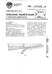 Устройство для подачи предметов округлой формы (патент 1171124)