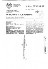 Зонд (патент 1718968)